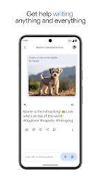 Google Gemini screenshot 5