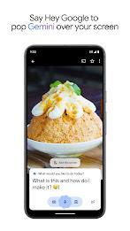 Google Gemini screenshot 8