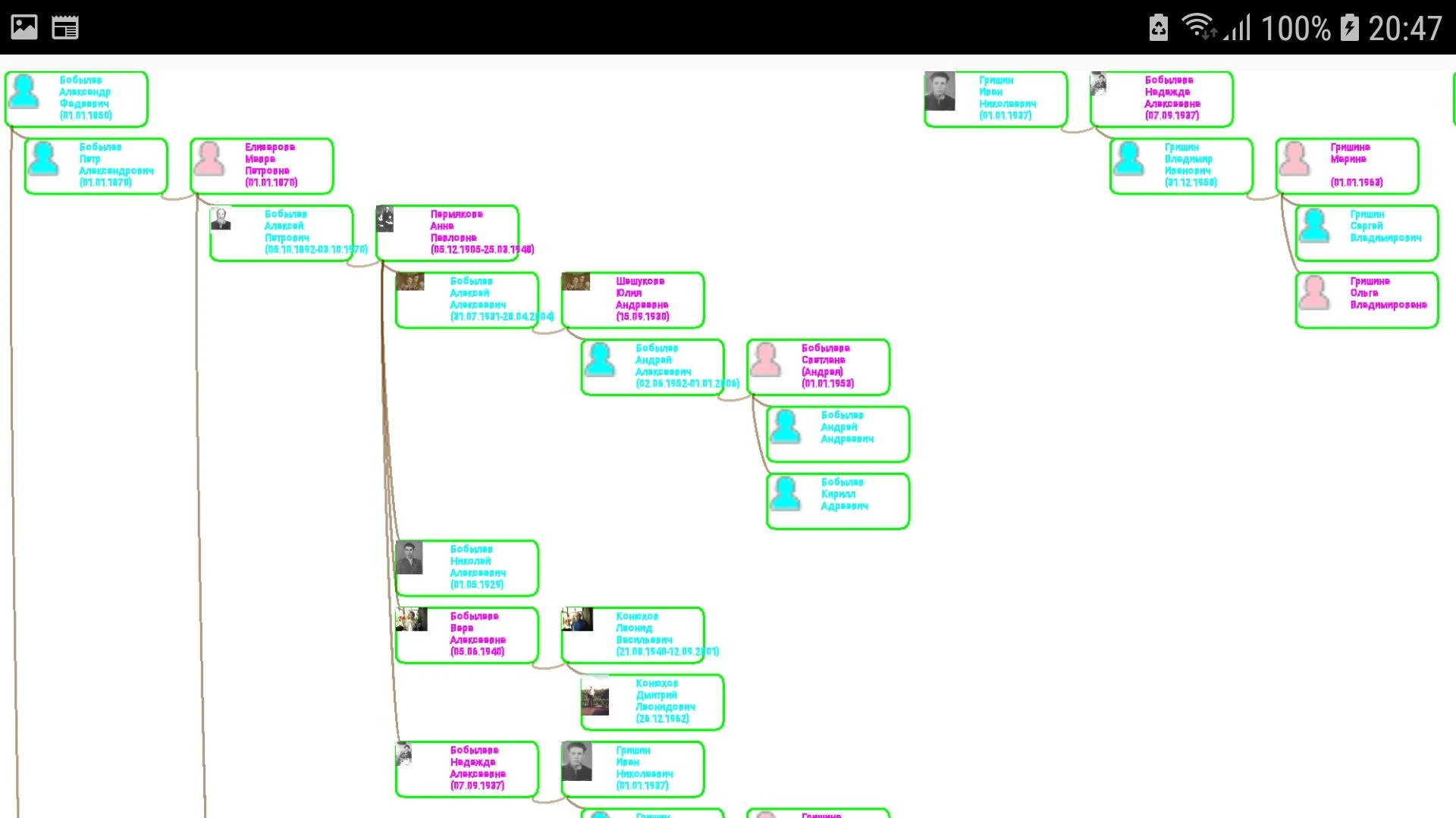 The Family Tree of Family screenshot 16