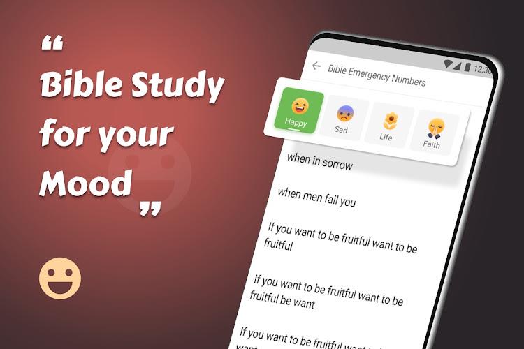 King James Bible screenshot 18