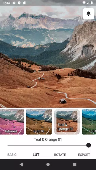 3DLUT mobile 2 screenshot 3