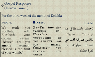Coptic Reader screenshot 2