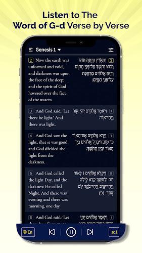 Hebrew Bible Study Translation screenshot 4