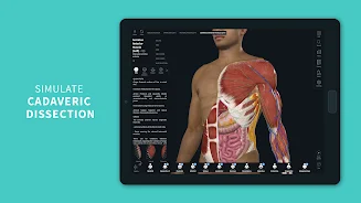 Complete Anatomy 2024 screenshot 10
