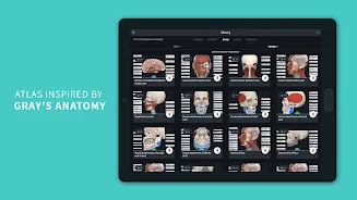 Complete Anatomy 2024 screenshot 14