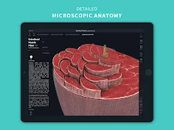 Complete Anatomy 2024 screenshot 24