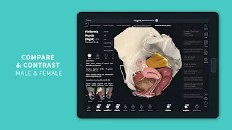 Complete Anatomy 2024 screenshot 13