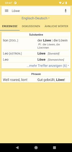 LEO dictionary screenshot 3