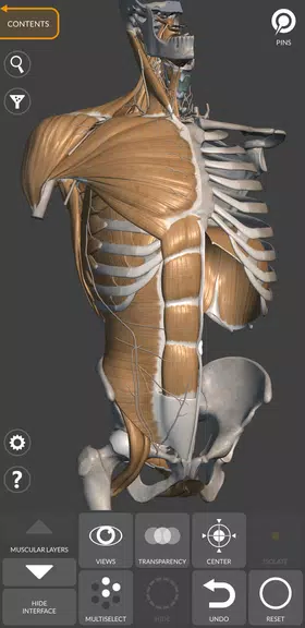 3D Anatomy for the Artist screenshot 2
