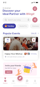 Wing IT screenshot 3