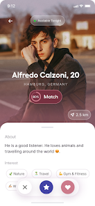 Wing IT screenshot 2