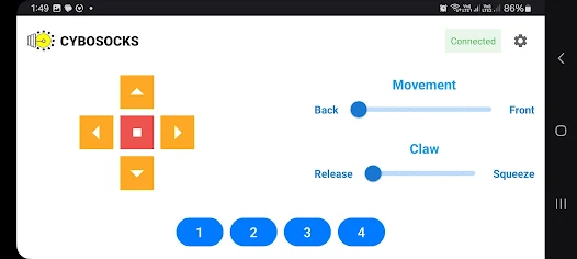 Cybosocks screenshot 2