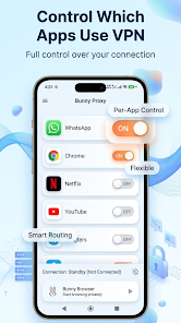 Bunny Proxy: Fast VPN, Browser screenshot 7