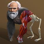 Idle Evolution APK