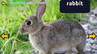 Learn Animals English Words screenshot 5