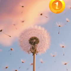 Target Hit Challenge APK