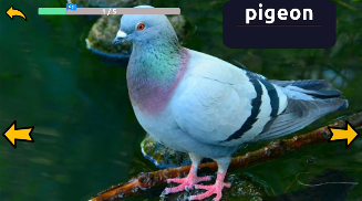 Learn Animals English Words screenshot 9