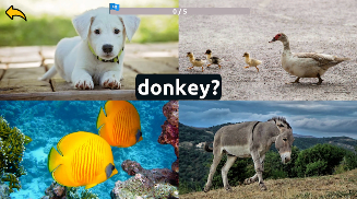 Learn Animals English Words screenshot 10