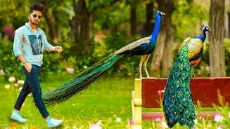 Peacock Photo Frames & Editor screenshot 4