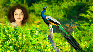 Peacock Photo Frames & Editor screenshot 8