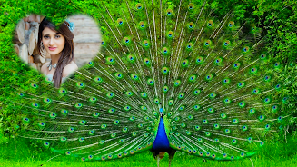Peacock Photo Frames & Editor screenshot 5