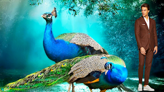 Peacock Photo Frames & Editor screenshot 10