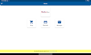 All American Rental screenshot 5