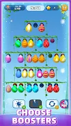 Balloon Sort Color screenshot 5