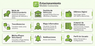 Estacionamiento Concordia screenshot 4