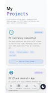 PY Portfolio screenshot 1
