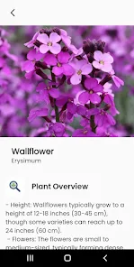 AI Plant Identify & Care screenshot 1