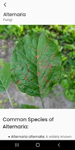 AI Plant Identify & Care screenshot 2