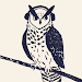 Night Owl Audiobook Player APK