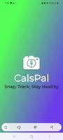 CalsPal screenshot 2