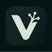 Vibesnap APK