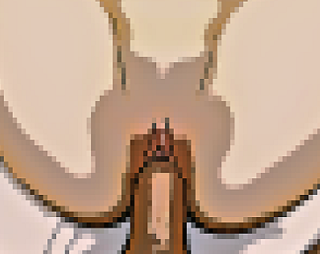 Fuck Jelena APK