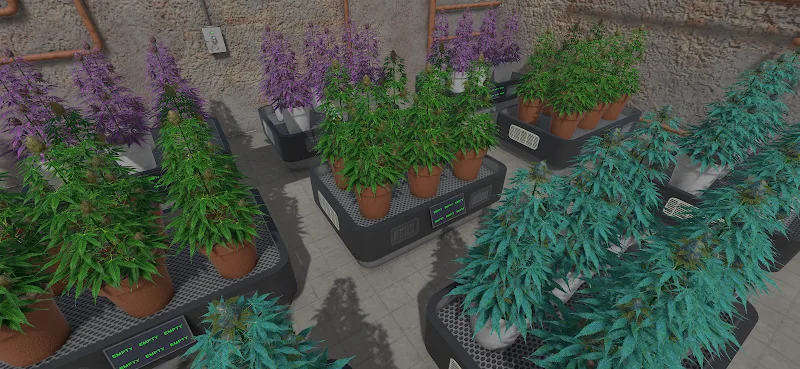 Weed Store Simulator screenshot 5