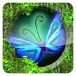  APK