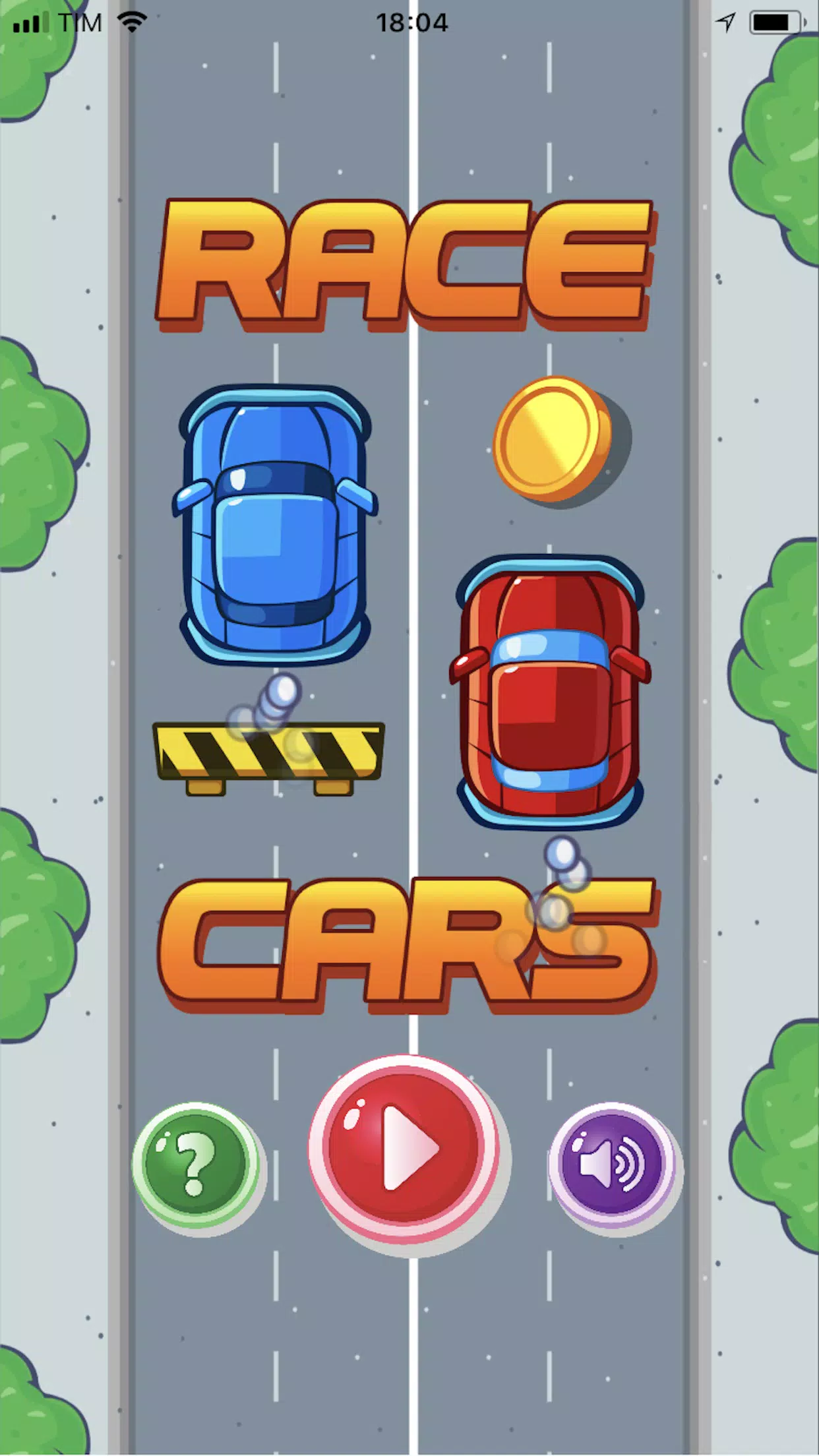 Race Cars screenshot 1