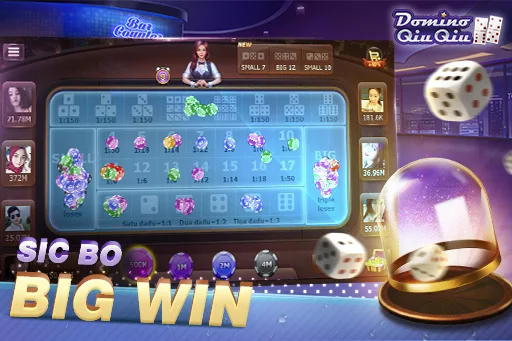 Domino QiuQiu screenshot 3