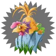 chicken raja betting APK