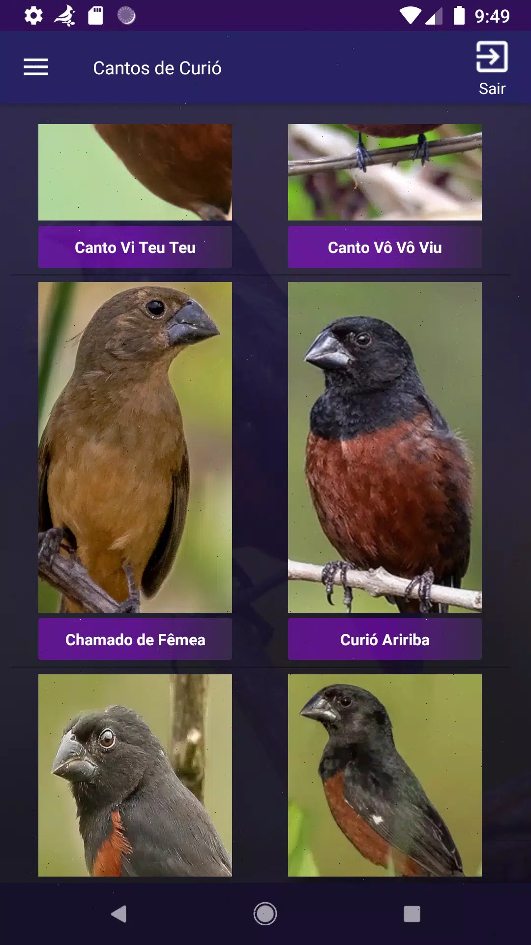 Cantos de Curió screenshot 6