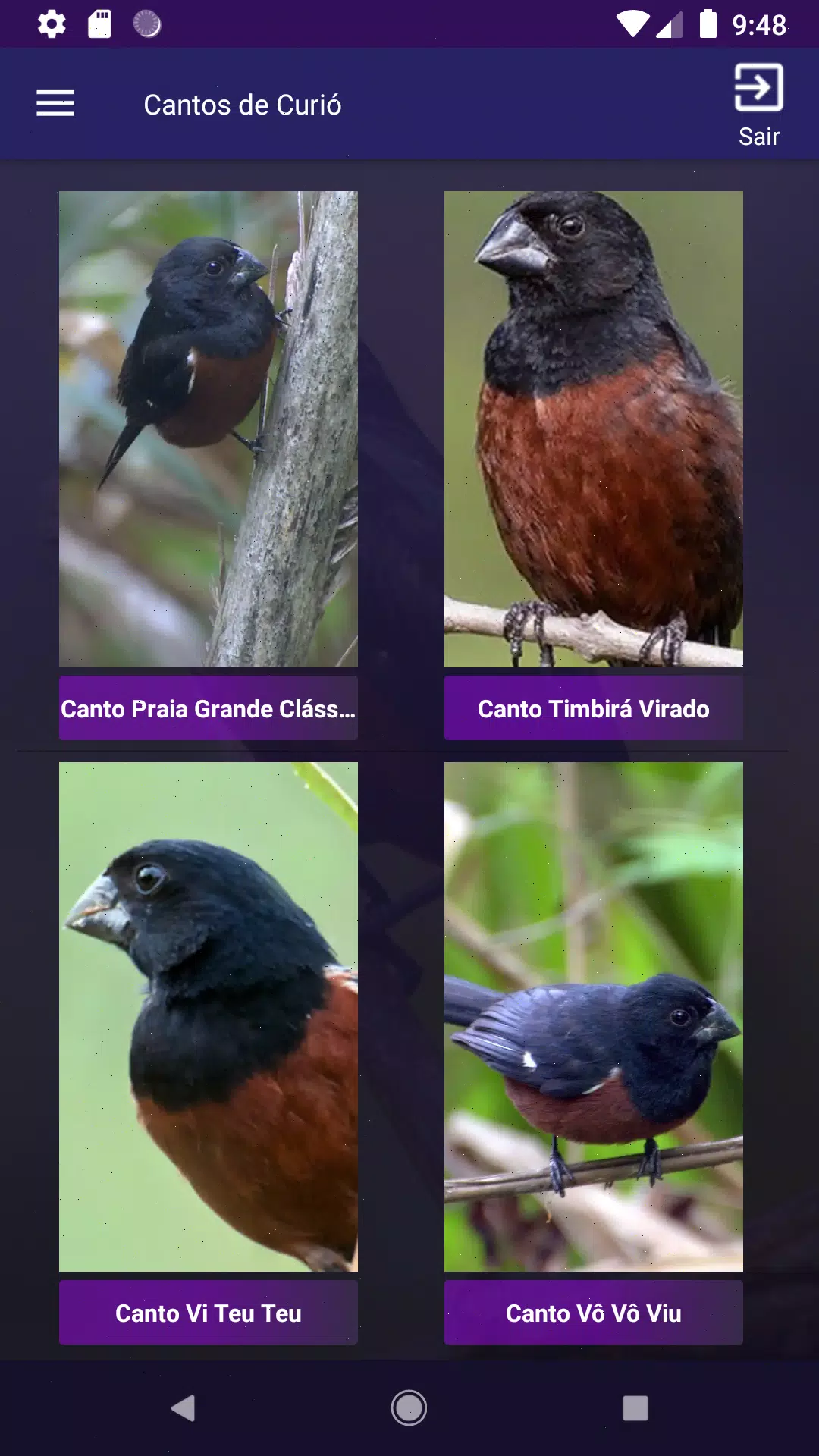 Cantos de Curió screenshot 3