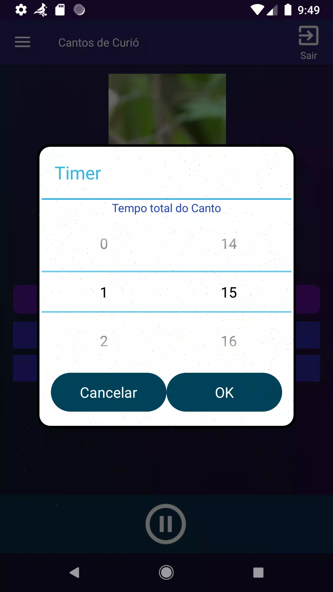 Cantos de Curió screenshot 4