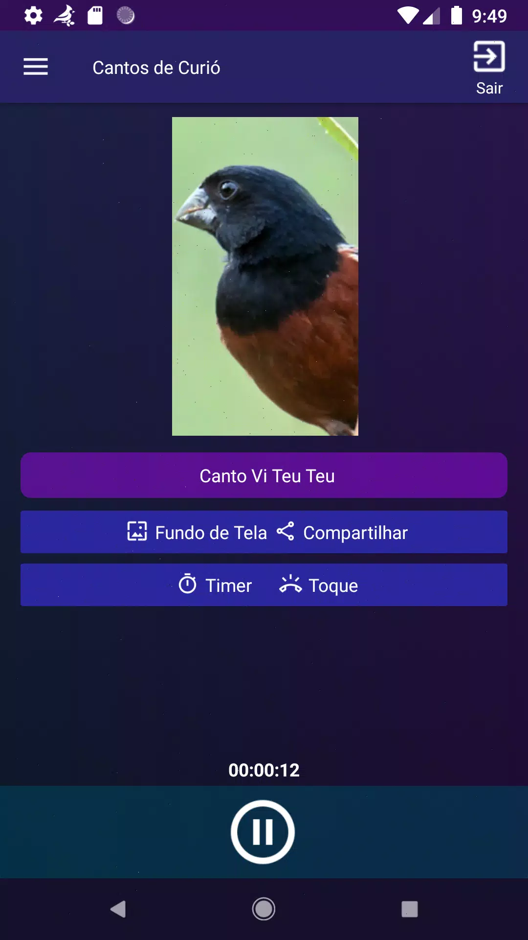 Cantos de Curió screenshot 5