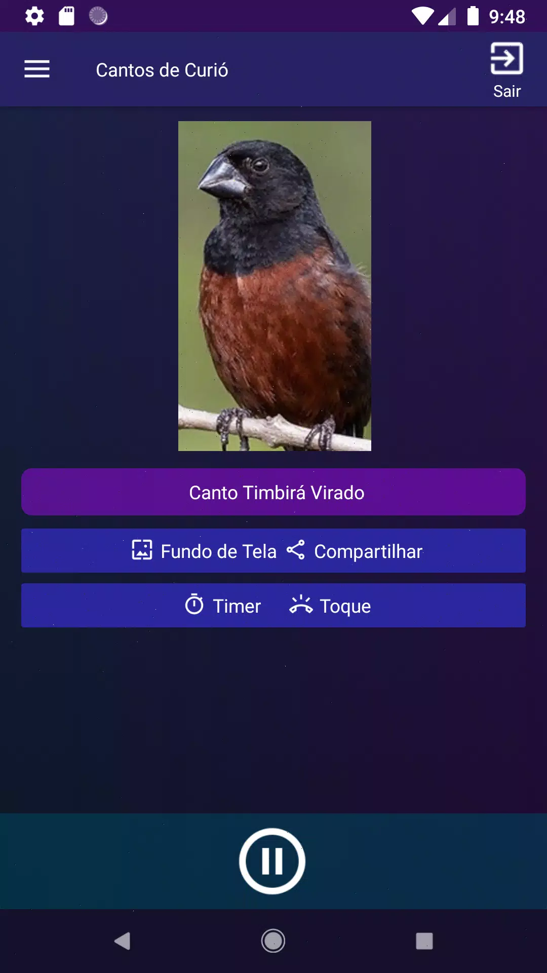 Cantos de Curió screenshot 8