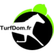 Pronostics Turfdom APK