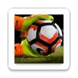 Potent Betting Tips APK