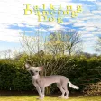 Talking-Dancing Dog APK