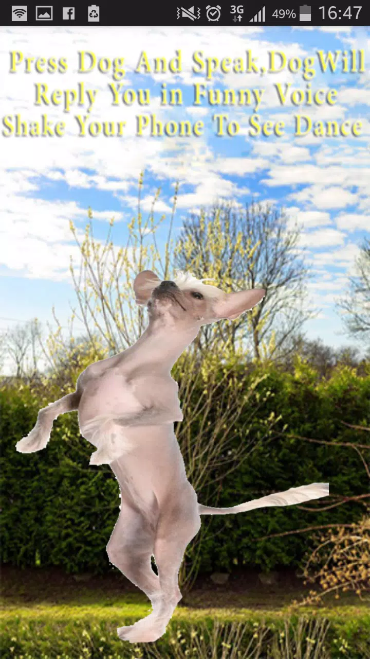 Talking-Dancing Dog screenshot 6